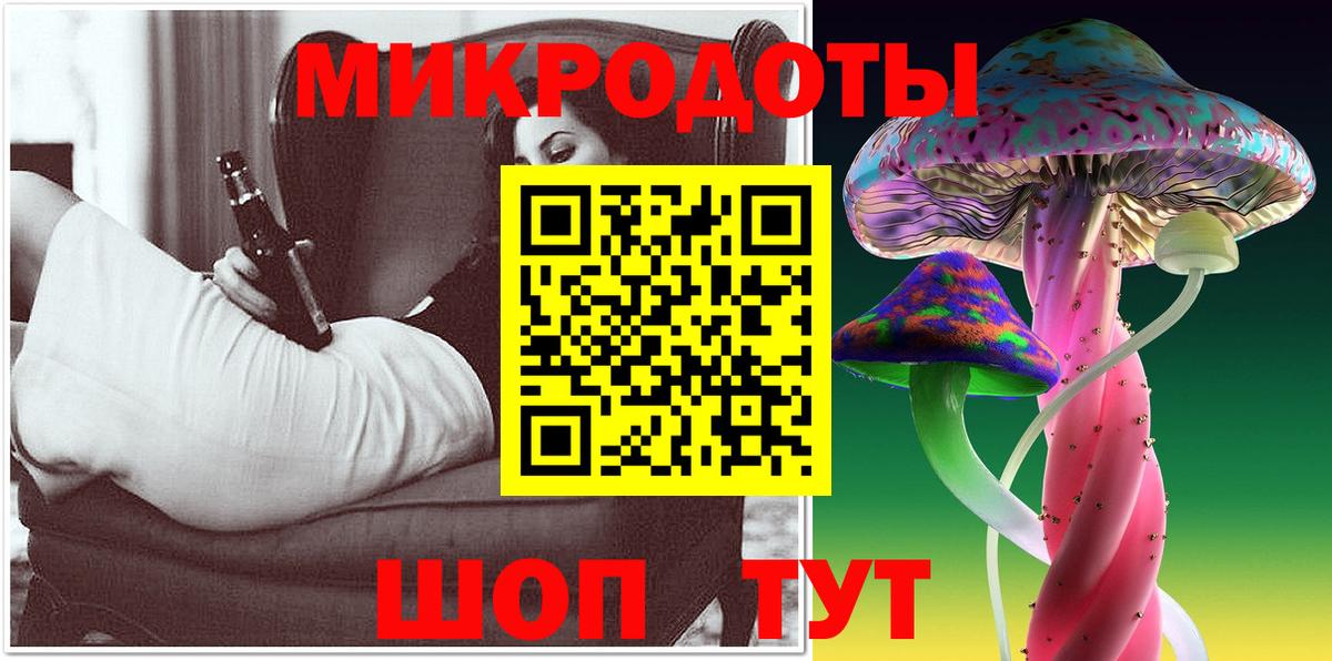 Курчалой  Галлюциногенные грибы Psilocybine cubensis  Псилоцибиновые грибы Cubensis  Вход с VPN 