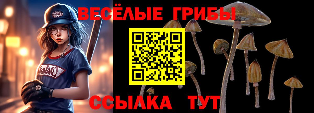 Галлюциногенные грибы MAGIC MUSHROOMS Курчалой